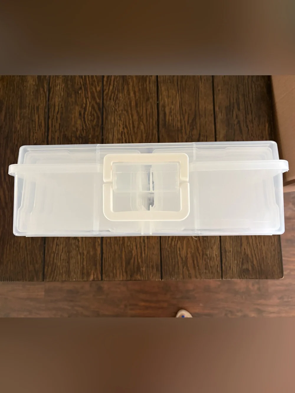 Plastic storage tote with individual containers